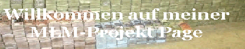 Geldstapel_Banner